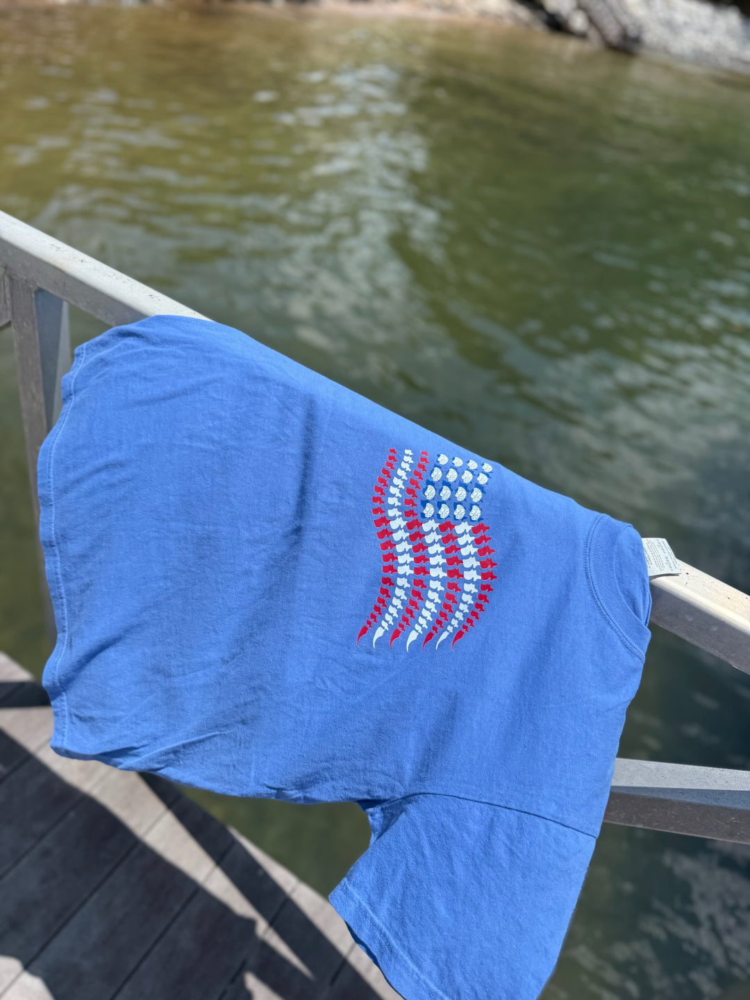 Neuro flag t-shirt with brain stars and spinal stripes draped over a dock railing by the lake.