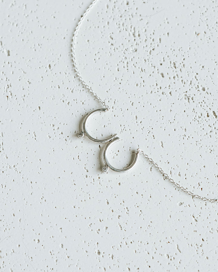 Flat lay of silver Bust Necklace with Diamond Nipples
