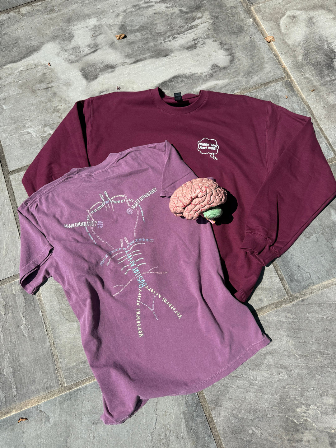 Brain Aneurysm Awareness: What the Circle of Willis Can Tell Us