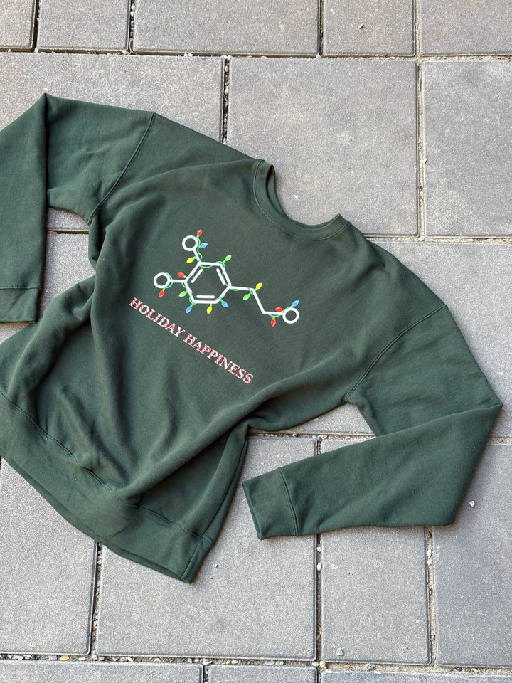 Green sweatshirt with a dopamine molecule covered in Christmas lights and  'Holiday Happiness' candy cane text underneath on gray pavement
