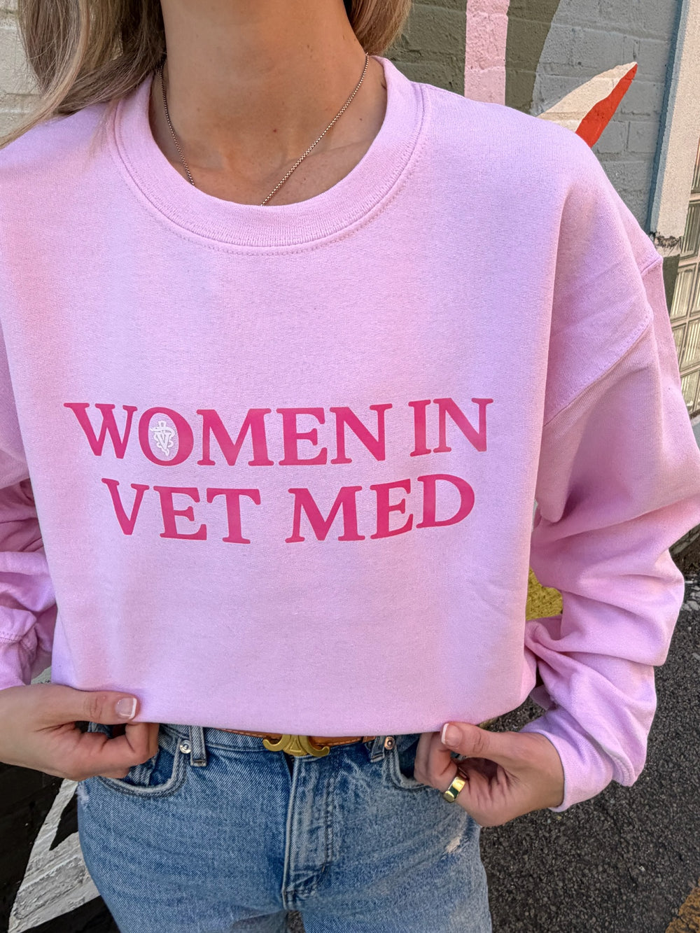 Person wearing a pink sweatshirt with 'WOMEN IN VET MED' text.