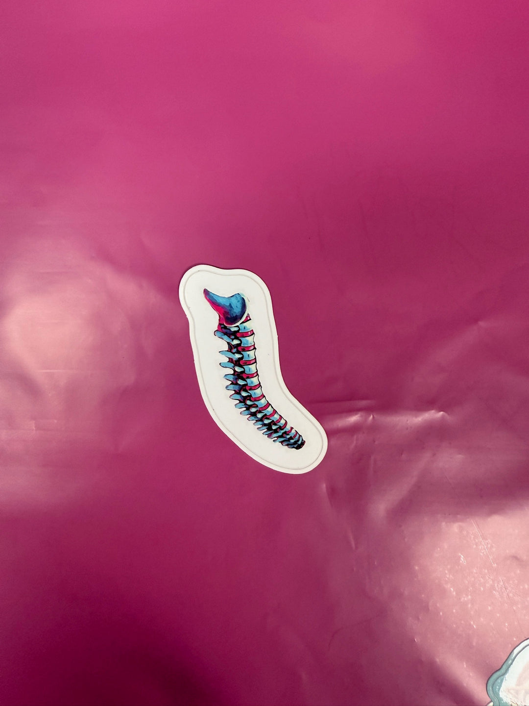 Colorful spine sticker on a pink background