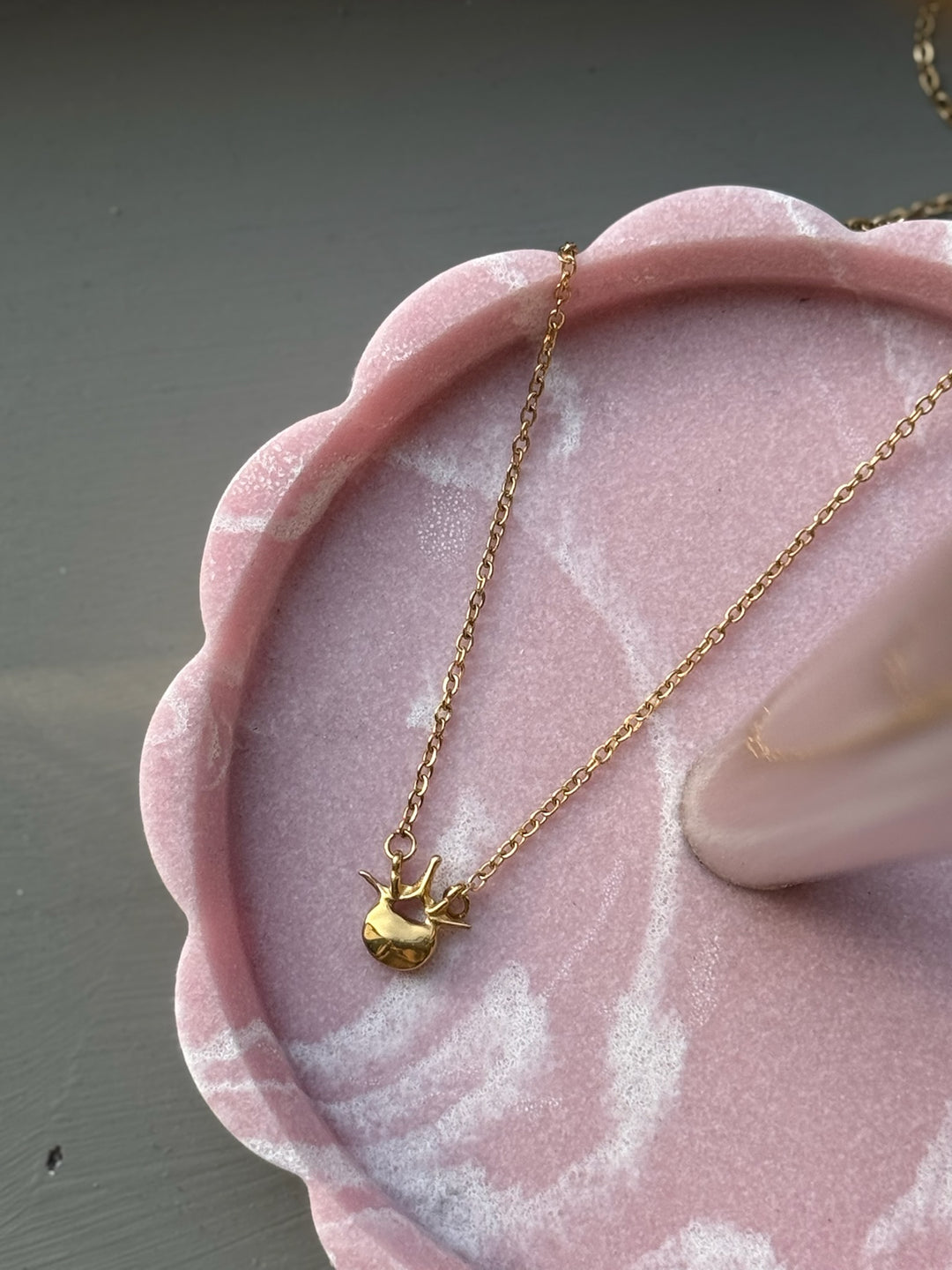 Gold Lumbar Spine Vertebra Necklace in a pink scalloped tray