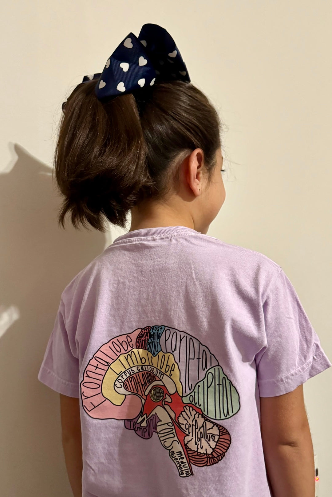 Girl with hairbow showing off the back of the "I Lobe You" Brain Anatomy Tee with labeled parts of the brain