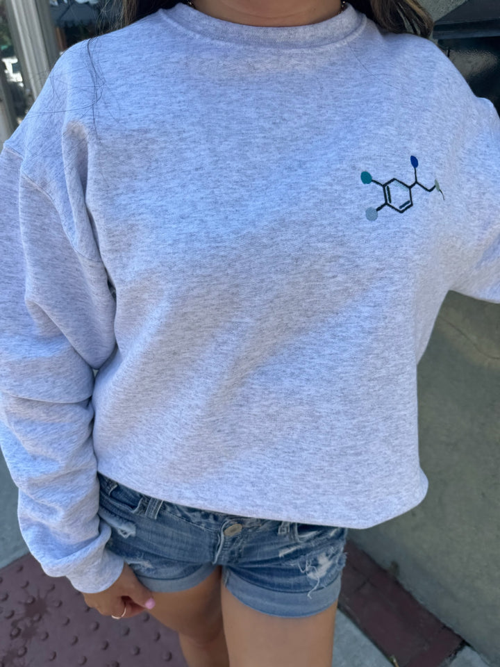 Front view of model wearing Ladyspinedoc x Dr. Beachgem Code Cart Crewneck Sweatshirt - Gray Shirt with Embroidered Epinephrine (Adrenaline) Molecule Design