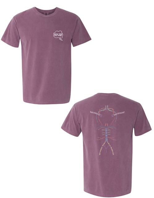 Front and back design of burgundy Whatchu Talkin’ About Willis - Circle of Willis Tee Shirt for Brain Aneurysm Awareness